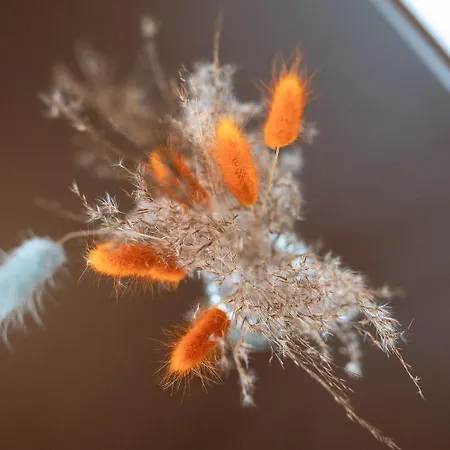 Bachschmied マリア・アルム・アム・シュタイナーネン・メアー