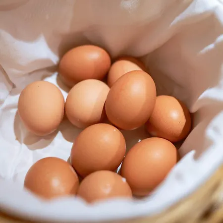 ホテル Bachschmied マリア・アルム・アム・シュタイナーネン・メアー